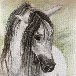 Horse drawing